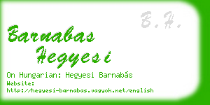 barnabas hegyesi business card
